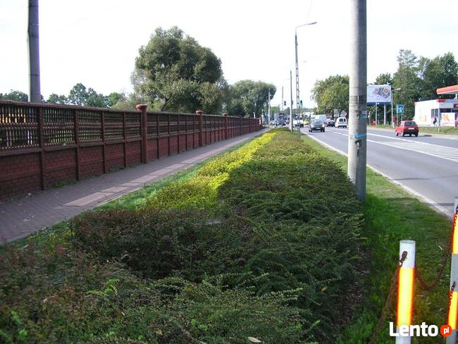 Miejsce na reklamę na ogrodzeniu w Milanówku k/Warszawy