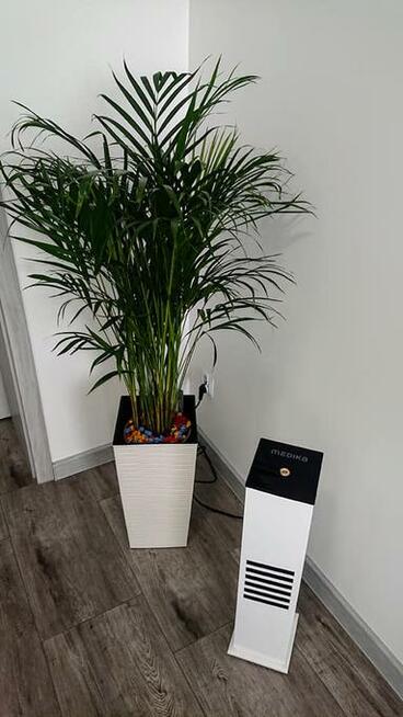 Fotel kosmetyczny TOSCANA elektryczny + GRATIS wysyłka