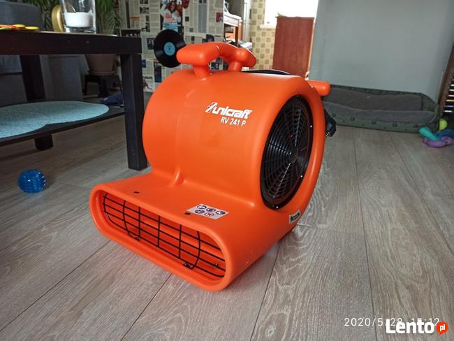 Pranie Czyszczenie Dywanów Tapicerek Nysa, Głuchołazy