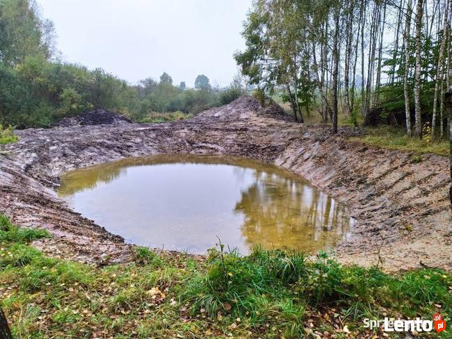 Prace Ziemne wykopy korytowanie utrwadzenie koparka Pleśna