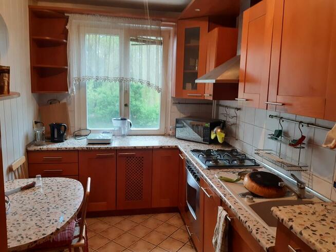 Wynajmę od zaraz 2 pokoje 1-osobowe 14 i 10 m2 ul Harnasie w