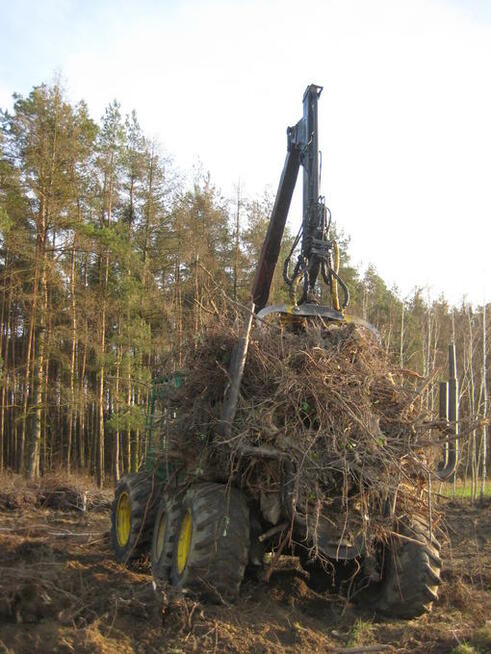 Wycinka, karczowanie korzeni, sprzątanie, koszenie, porządki