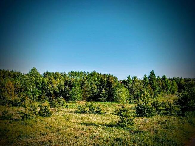 Domki nad jeziorem Kaszuby blisko jeziora