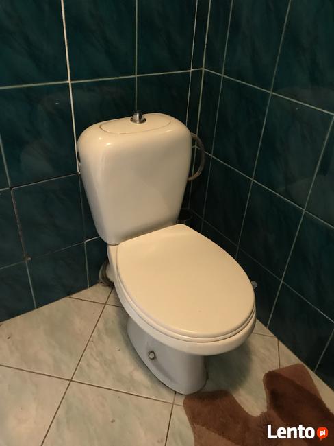 Wynajmę pokój