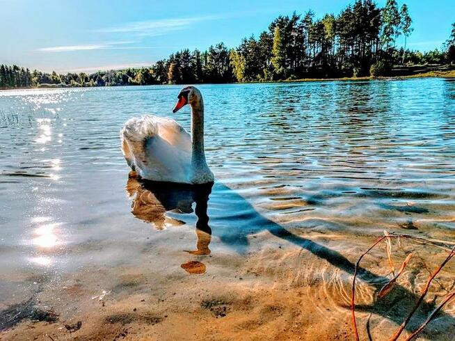 Domki nad jeziorem Kaszuby blisko jeziora