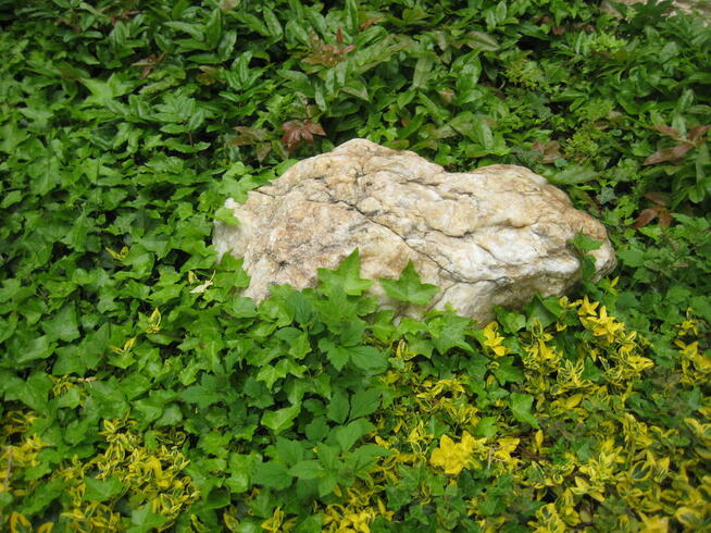 Kamień polny, otoczak, głaz, skała - cena 95,00 PLN za tonę.