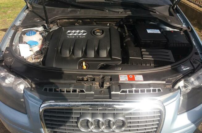 Audi A3 8P 1.9 TDI BKC