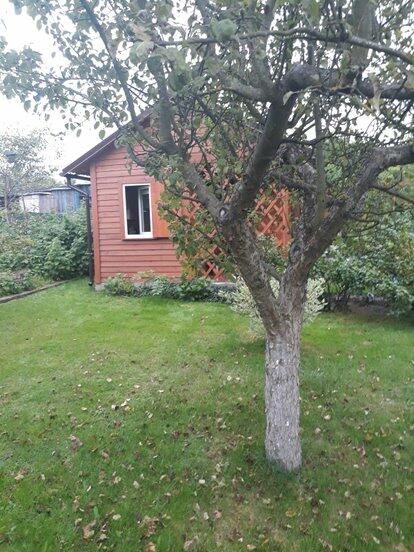 Działka rekreacyjna ROD