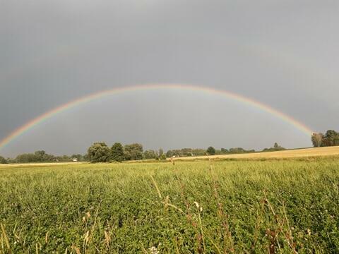 Agroturystyka Podlasie Chomiczówka