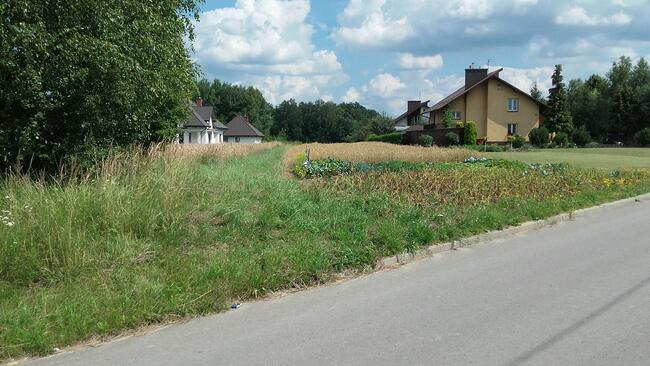 Działka +proj. domu. Pilzno 10ar, 38 ar ul. Węgierska