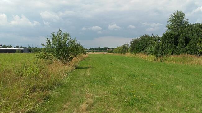 Działka +proj.domu. Pilzno 9ar, 34ar ul.Kś.Ściegiennego