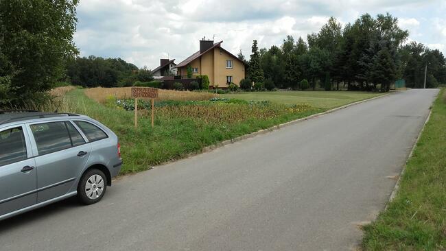 Działka +proj. domu. Pilzno 10ar, 38 ar ul. Węgierska