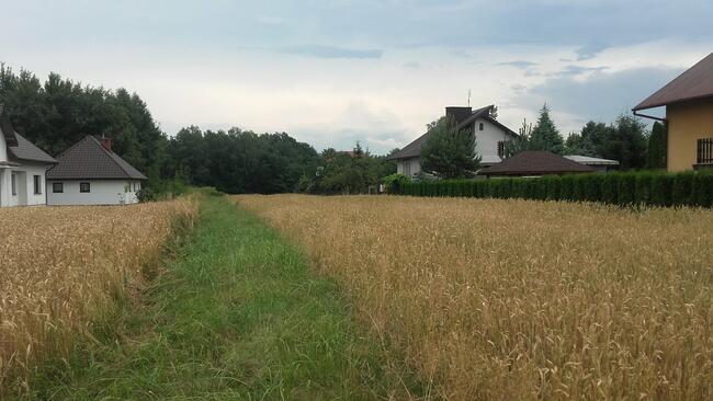 Działka +proj. domu. Pilzno 10ar, 38 ar ul. Węgierska