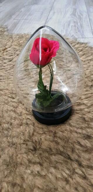 Kwiat w szkle z PRL-U