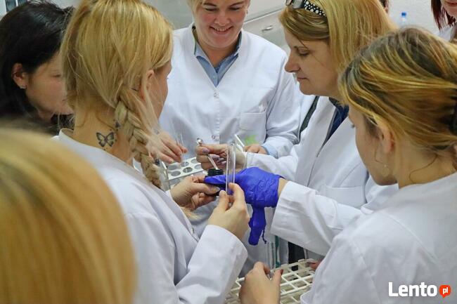 Zdobądź Tytuł Farmaceuty ze Szkołą SKK