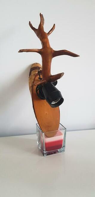 Stara lampa na korzeniu