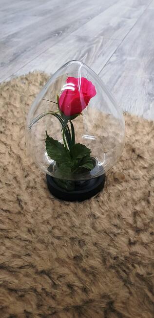 Kwiat w szkle z PRL-U