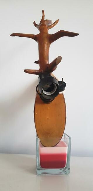 Stara lampa na korzeniu