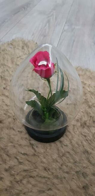 Kwiat w szkle z PRL-U