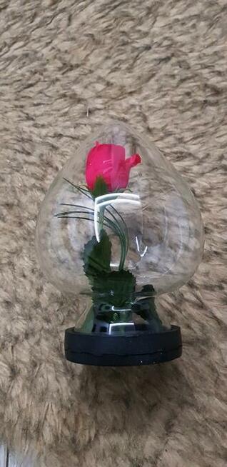 Kwiat w szkle z PRL-U