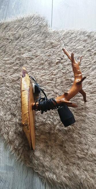 Stara lampa na korzeniu