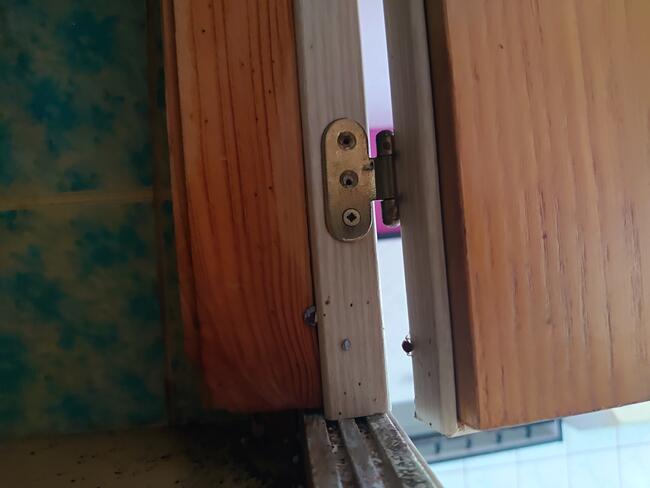 Zwalczanie Prusaków Karaczanów w Twojej okolicy