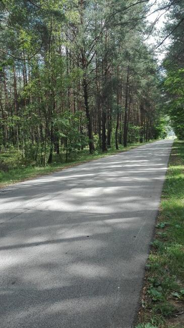 Działka rolno-leśna Nowy Pilczy, bezpośrednio