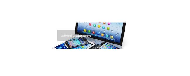 Profesjonalna Serwis komputerowy, Informatyczny