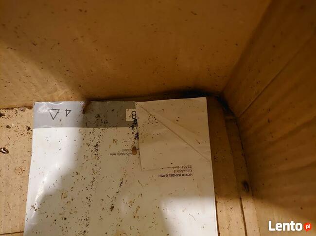 Zwalczanie Prusaków Karaczanów w Twojej okolicy