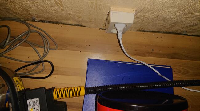 Zwalczanie Pluskwa Domowa metodą IPM