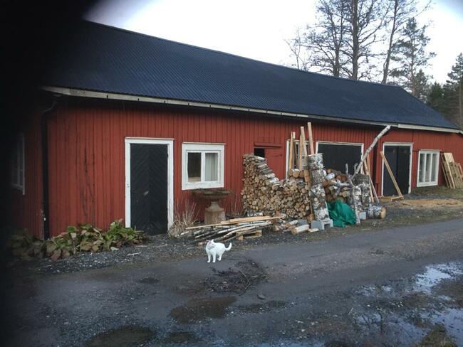 Dom w Szwecji, nad jeziorem w lesie, duża działka. Szwecja.