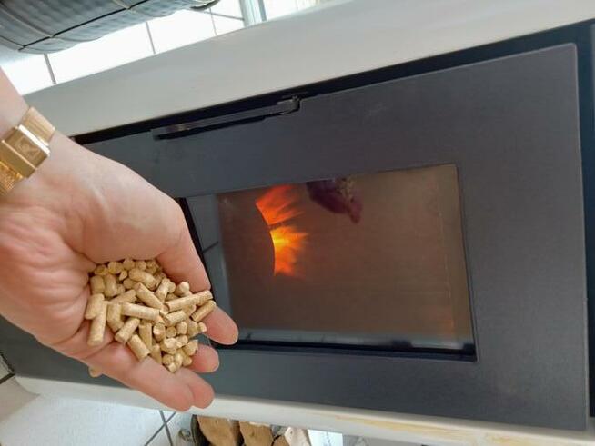 HUSAR PELLET, polski producent 6mm transport gratis!