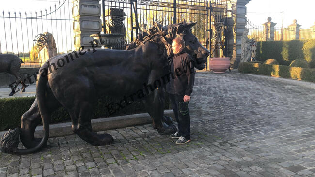 Lwy z brązu , Lew z brązu , Rzeźba Lwa z brązu Lwy pałacowe