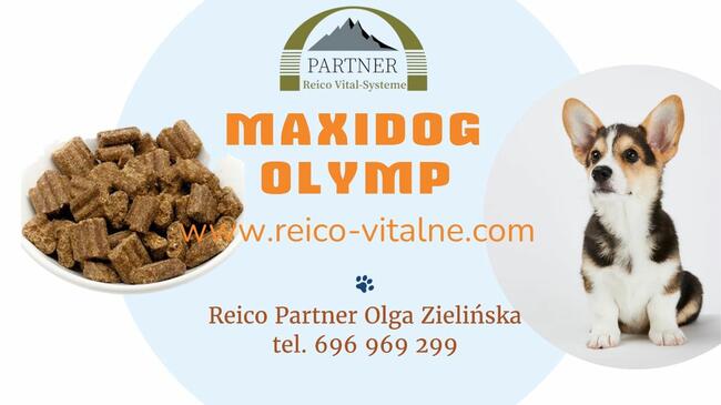 Maxidog Olymp Reico Vital karma sucha