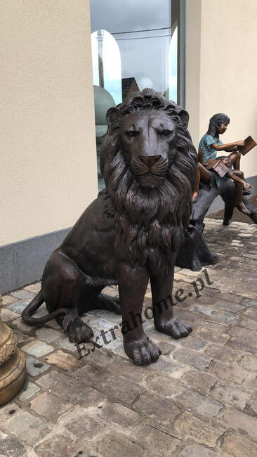 Lwy z brązu , Lew z brązu , Rzeźba Lwa z brązu Lwy pałacowe