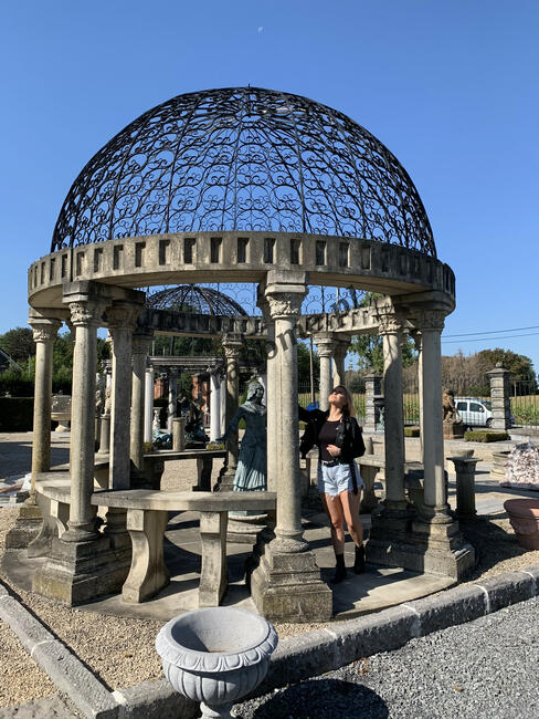 Lwy z brązu , Lew z brązu , Rzeźba Lwa z brązu Lwy pałacowe