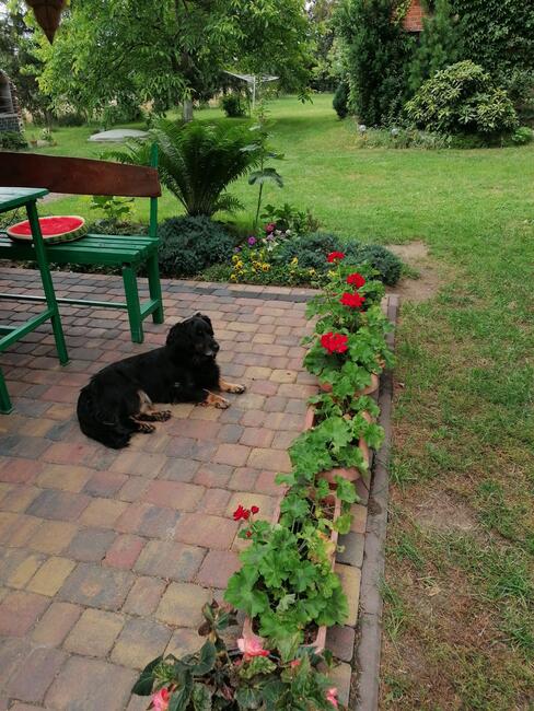 Noclegi, agroturystyka W zaciszu....