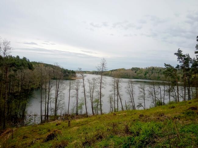 Mazury Stare Juchy działki w okolicach jeziora lasu