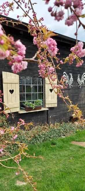 Jurta w Zgodzie z Naturą Agroturystyka nad morzem