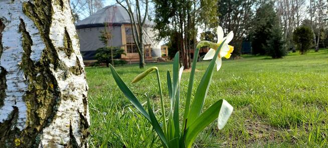 Jurta w Zgodzie z Naturą Agroturystyka nad morzem