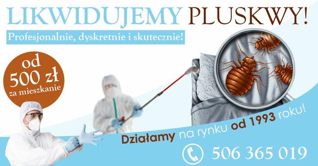 Pluskwy Świnoujście. Zwalczamy pluskwy w Świnoujściu