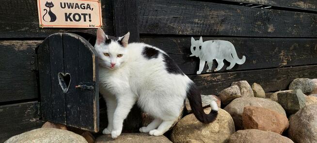 Jurta w Zgodzie z Naturą Agroturystyka nad morzem