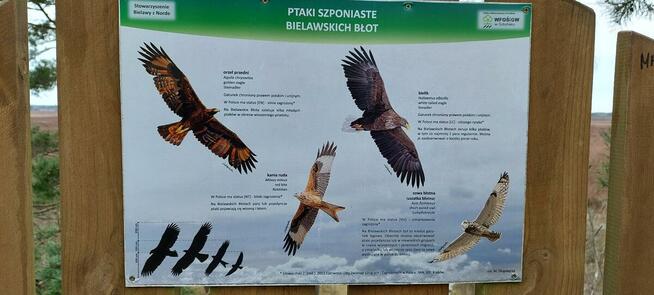 Jurta w Zgodzie z Naturą Agroturystyka nad morzem