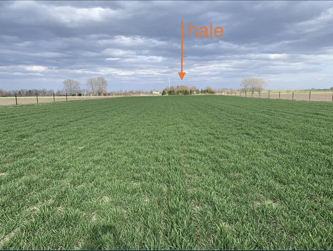 Farma ferma 3km przy autostradzie Jarosław Podkarpacie