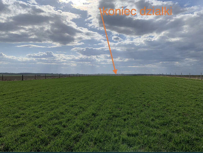 Farma ferma 3km przy autostradzie Jarosław Podkarpacie