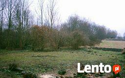 SPRZEDAM PIEKNA DZIAŁKE ROLNO-BUDOWLANA