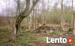 SPRZEDAM PIEKNA DZIAŁKE ROLNO-BUDOWLANA