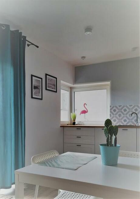 wynajmę domki w Dąbkach