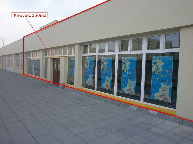 Do wynajęcia lokal na 1 pietrze 250m2 w Sosnowcu
