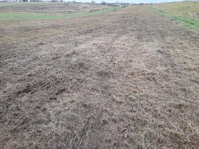 Koszenie nieużytków, łąk, ugorów kosiarką bijakową